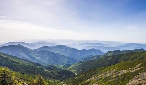 德州扑克之夜头像-德州扑克之夜，头像背后的故事