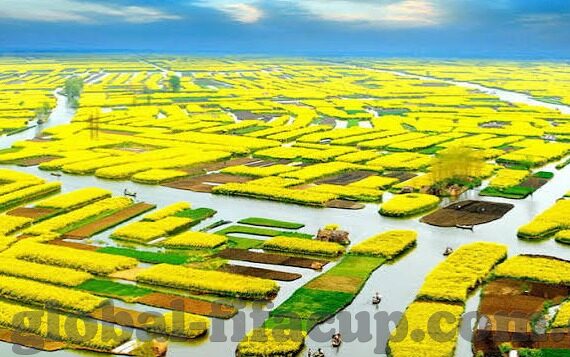 破解百家乐-破解百家乐，策略与技巧的深度剖析