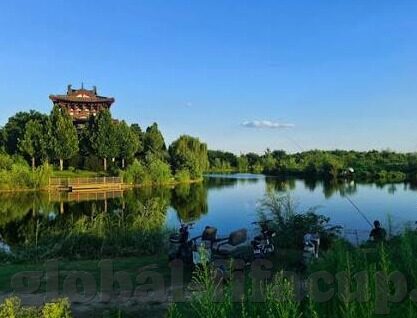 足球直播足球直播比分-足球直播，实时比分背后的激情与策略，一场视觉与智力的双重盛宴